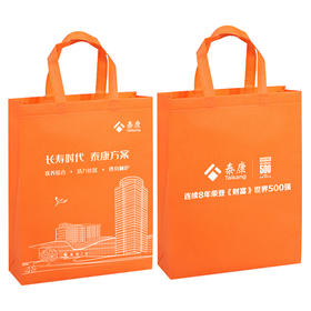 泰康500强 无纺布袋