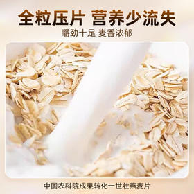 世壮中国农科院即食纯燕麦片300g*4 冲泡冲饮谷物营养早餐独立小包装 /水饮冲调 /冲饮谷物 /麦片