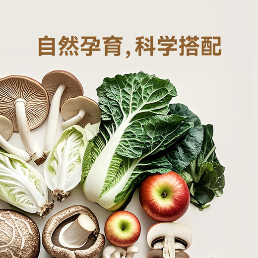 【自然本味】草牧里 松茸鲜 100g/瓶*2 家常炒菜煲汤煮粥 商品图2