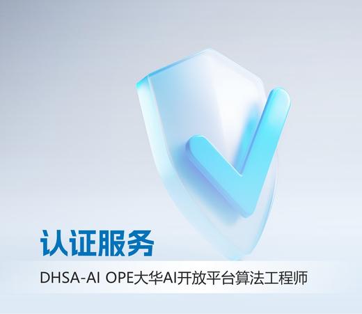 DHSA-AI OPE大华AI开放平台算法工程师认证考试服务 商品图0