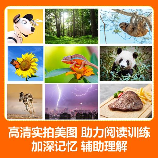 美国国家地理英语分级读物系列 商品图12