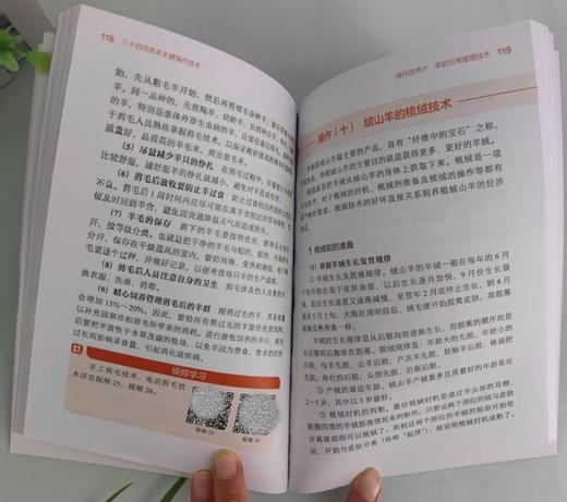 三十四项养羊关键操作技术 商品图5