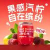 柠檬共和国山野杨梅粉柠荔枝爆汁三柠小罐饮料200ml/瓶含气泡果汁夏季饮料 商品缩略图1