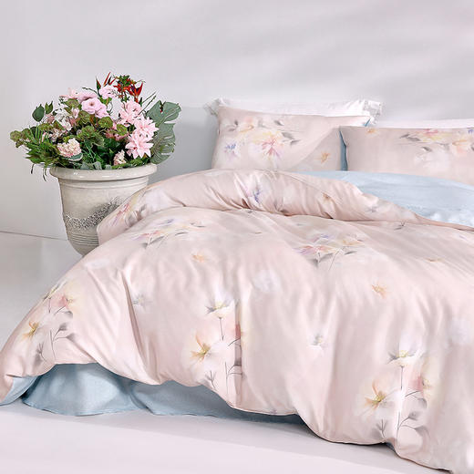 罗莱T 柔纱米娅40支莱赛尔纤维四件套 220×250cm 商品图1