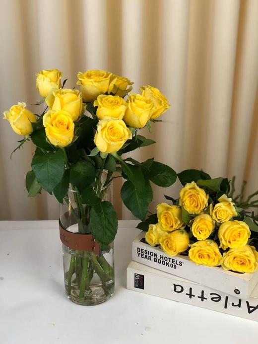 秒杀活动----金枝玉叶玫瑰 商品图1