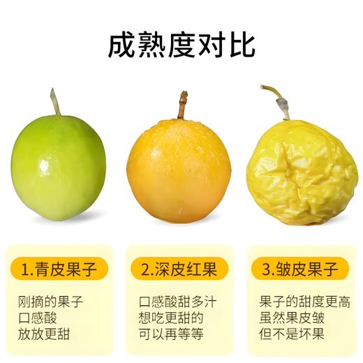  【钦蜜9号百香果】当季鲜摘 黄金甜感  果肉嫩滑 甜蜜多汁 尝鲜正当时！ 商品图4