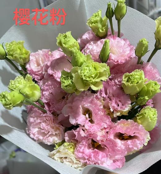 洋桔梗 | 樱花粉 商品图0