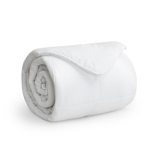 罗莱T 蚕丝羊毛防螨子母被 200×230cm 商品图8