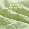 LOVO乐蜗XS  酷爽-丝享云柔A类可水洗硅胶凉席三件套（床笠）180*200*30 商品缩略图4