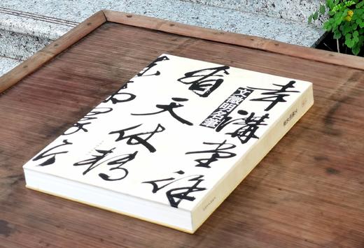 《文徵明名笔》，布脊精装，8开，文徵明著，上海辞书出版社2020年一版，定价480，售价168元。 商品图2