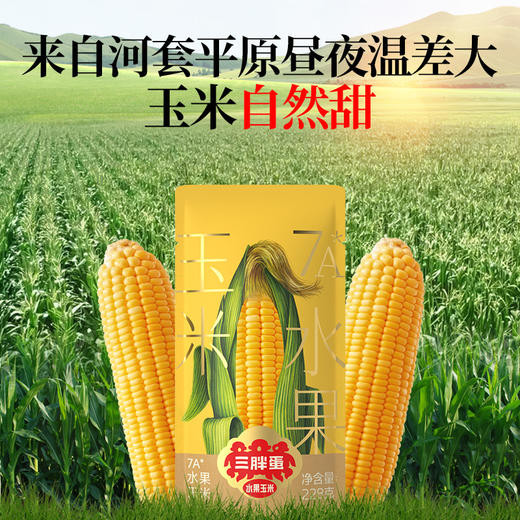 水果玉米228g*3棒 商品图2