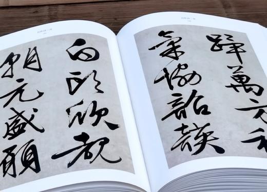 《文徵明名笔》，布脊精装，8开，文徵明著，上海辞书出版社2020年一版，定价480，售价168元。 商品图6