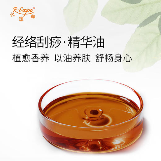 经络刮痧·精华油 植物萃取精油奢养按摩精华油原料批发康养SPA 商品图1