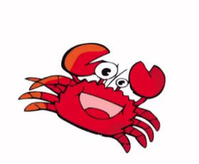 舟山SZX福利 鲜huo发货 到手包鲜不包huo 3斤起拍