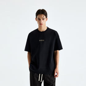 CHINISM赤尘 绣花logo凉感抗菌短袖T恤男2025夏季速干防晒半袖