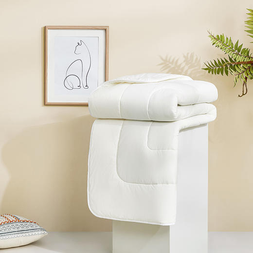 罗莱T  A类全棉大豆柔丝水洗空调被 200×230cm 商品图2