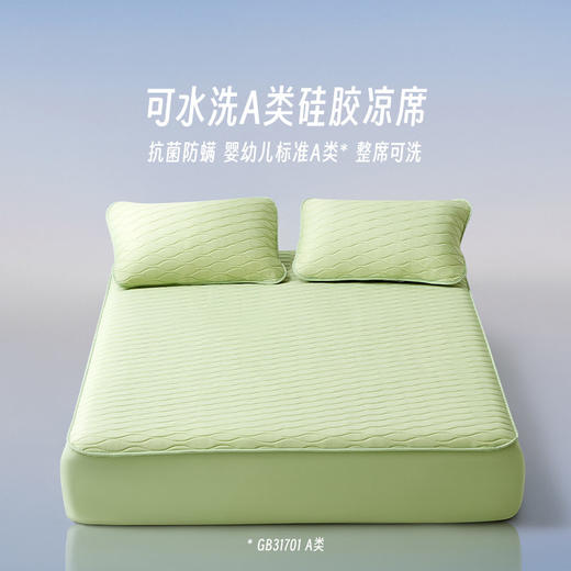 LOVO乐蜗XS  酷爽-丝享云柔A类可水洗硅胶凉席三件套（床笠）180*200*30 商品图3