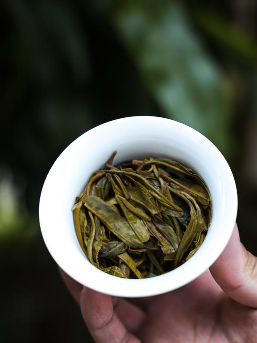 【石门坎单株】2025年春茶宣哥私房好茶分享，之前一直自用，周年庆特惠分享（媲美茶王树品质）357克/饼，拍5发6 商品图3