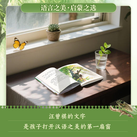 昆虫备忘录（全彩插图版）文学大家汪曾祺以童趣之心 写就的大自然小百科 商品图2