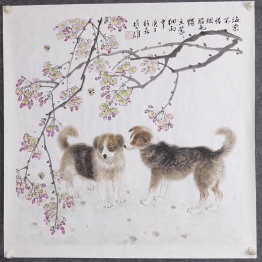 方楚雄《海棠花与小狗》国画原作69CM*69CM斗方宣纸收藏级艺术臻品 商品图1