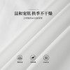 【08/12新品】熙世界2025年秋季新款蕾丝花边镂空长袖T恤女超好看白色圆领上衣 商品缩略图3
