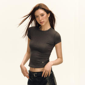 Ariseism 美式复古闪粉短袖t恤女2025夏季新款短款露脐紧身上衣