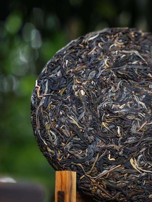 【石门坎单株】2025年春茶宣哥私房好茶分享，之前一直自用，周年庆特惠分享（媲美茶王树品质）357克/饼，拍5发6 商品图2