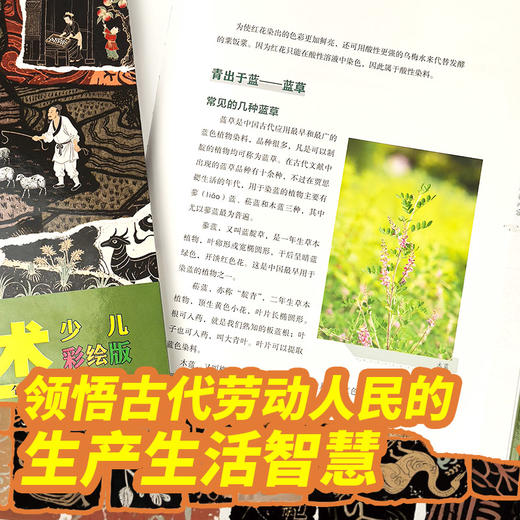 齐民要术（少儿彩绘版） 商品图6