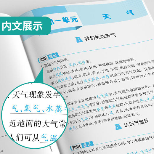 2025秋【教科版】三年级 科学(上) 实验班提优大考卷  3年级 商品图3