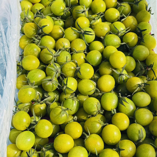 【一定要多吃瘦身糖丸千禧果】来自海沙地的小甜番，瘦身的精髓就在这！瘦就现在！ 商品图1