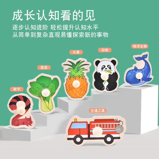 【寓教于乐，动手动脑，以学为乐！】木制儿童手抓板 早教开发 智力抓板 数字字母水果 动物蔬菜拼图拼板-QB 商品图1