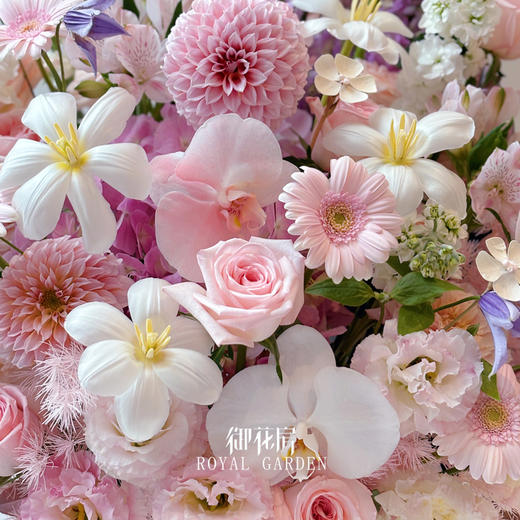 莲红杏花  • 鲜花花桶 商品图1