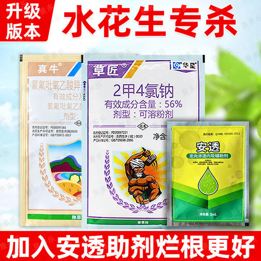 水花生净专杀氯氟吡氧乙酸异辛酯专用专杀药三合一正品除草剂 商品图3