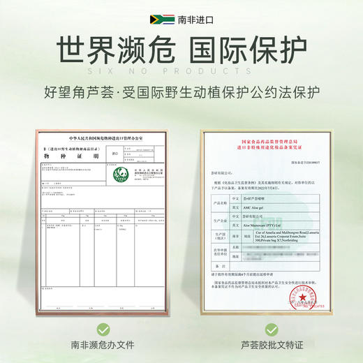 【AMC 南非好望角芦荟胶 】99%芦荟成分 修复因子高于普通20倍 75ml/支 商品图3