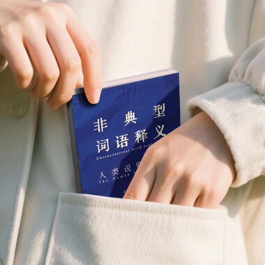 非典型词语释义 商品图3