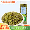【时芸汇】有机绿豆一级绿豆煮粥炖汤绿豆沙消暑优质绿豆 商品缩略图0