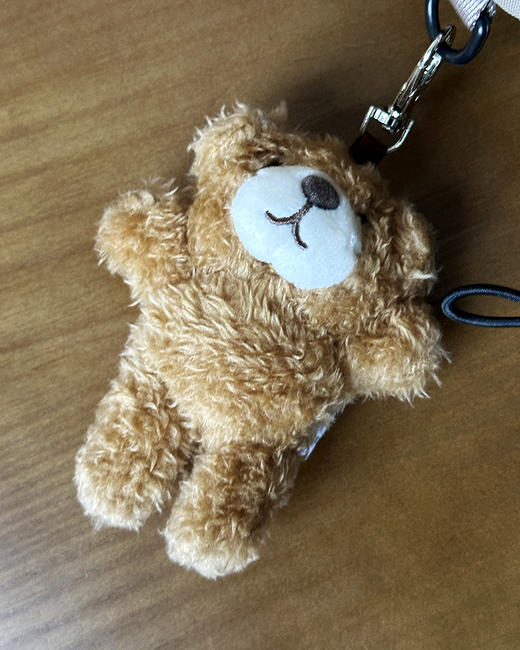 现货 THS-无 斐乐家 可拆卸熊仔挂件烧麦包 4色 CQ1410 商品图11