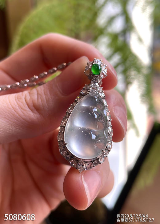 5080608、福豆吊坠。具体价格微信咨询 商品图2