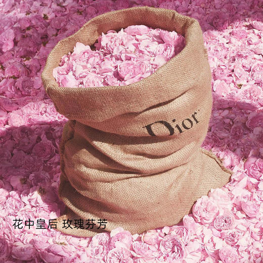 Dior/迪奥 花漾甜心女士淡香水50ml 商品图1