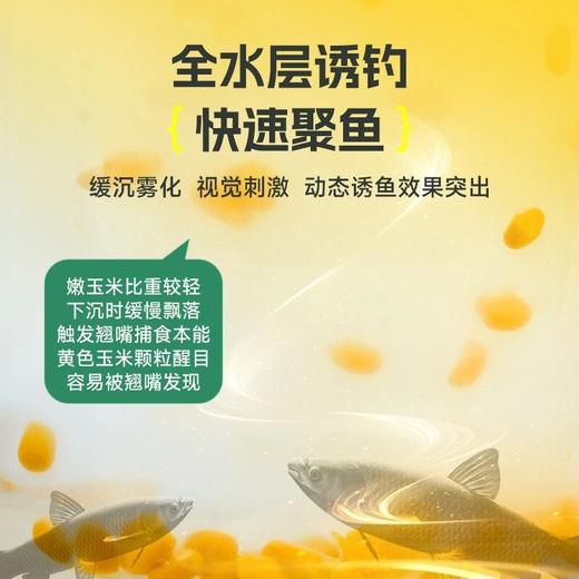 佳钓尼生鲜嫩玉米颗粒翘嘴窝料青草鲤鳊鱼米翘鱼饵饵料钓鱼装备 商品图3