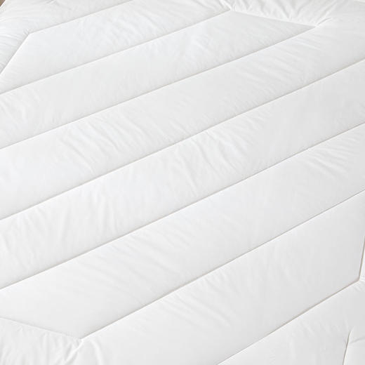 罗莱T 舒眠羊毛被(1500g)  200×230cm 商品图3