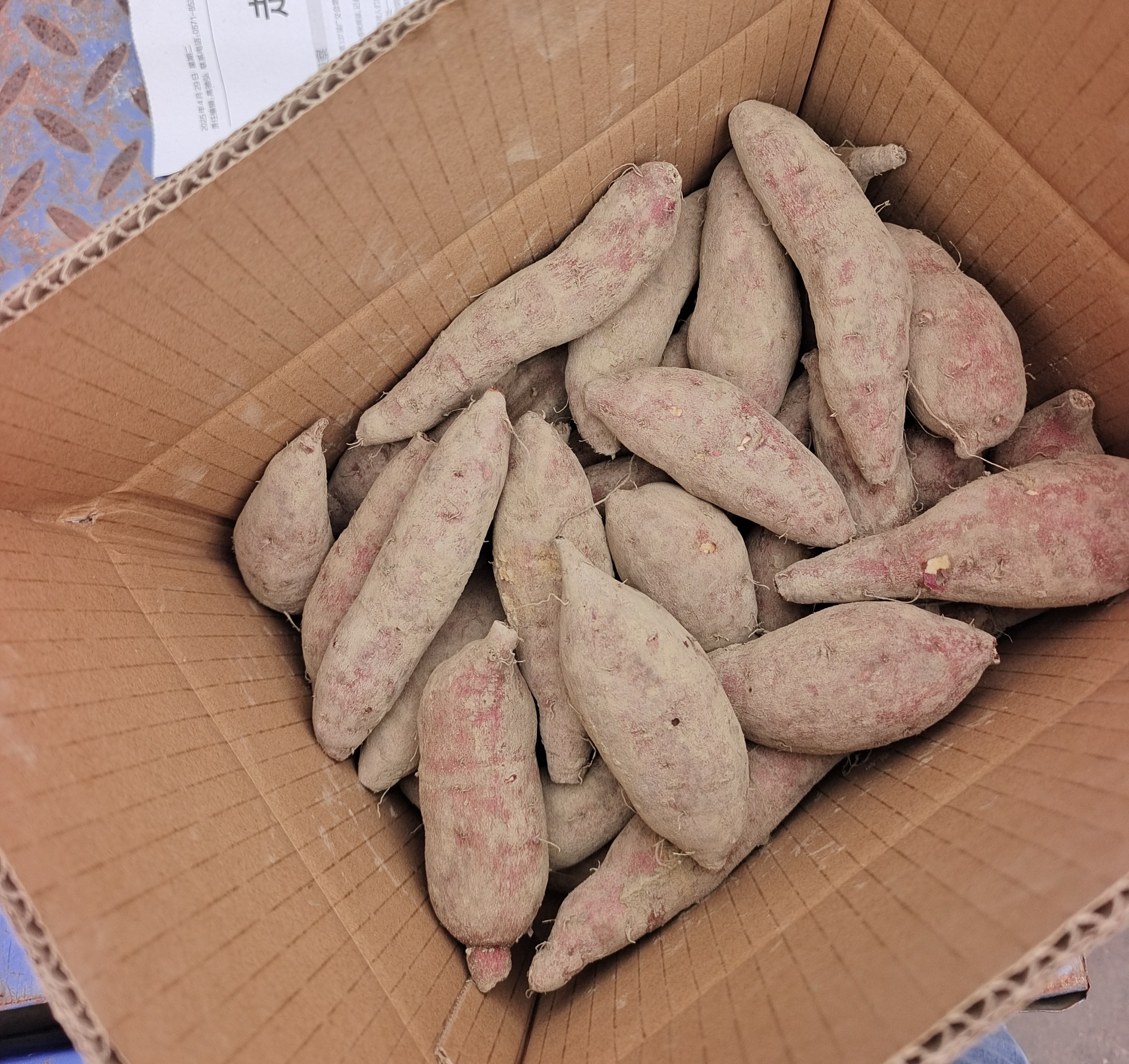 正宗临安天目山小香薯 新鲜现挖 皮色鲜红 软糯香甜 中等个头5斤装