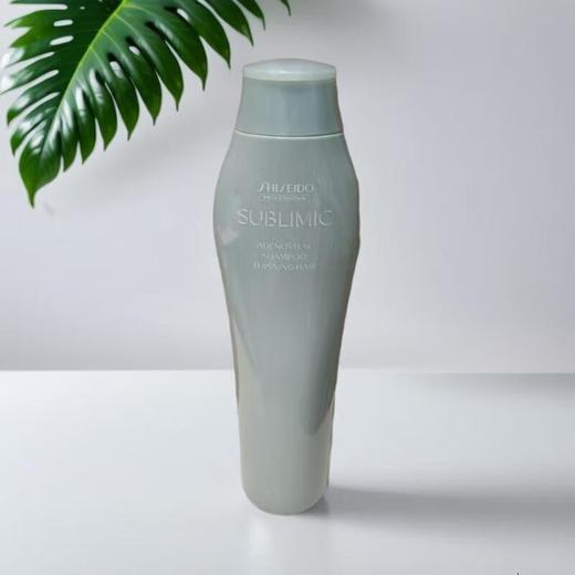 资生堂芯护理头皮生机系列冼发露 250ml 商品图0