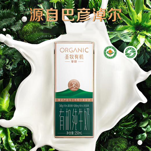 【高端醇厚】全程有机认证 醇厚奶香 | 圣牧挚醇有机纯牛奶 3.6g乳蛋白 120mg原生乳钙  250ml*12盒礼盒装 高端礼赠佳品 商品图7