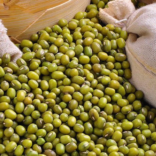 【时芸汇】有机绿豆一级绿豆煮粥炖汤绿豆沙消暑优质绿豆 商品图3