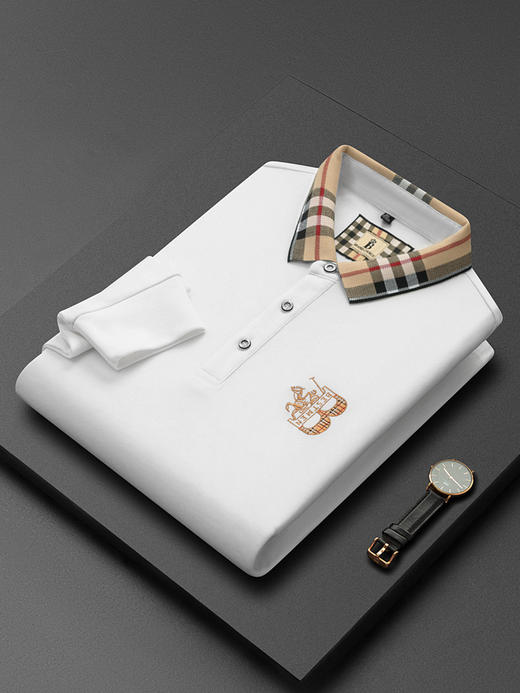 秋季上新！【低调内敛，亲肤舒适！】2025秋冬派森龙中年男士长袖T恤 POLO衫纯色刺绣翻领上衣 爸爸POLO衫-QB 商品图1