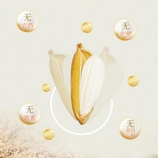 丰谷百味五常核心产区大米2.5kg家庭装 商品图3