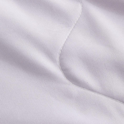 罗莱T 普罗旺斯奢爽蚕丝被 200×230cm 商品图6
