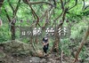 周末1日｜藤萝谷｜北方『热带雨林』冷水峪-河防口-九谷口 8公里经典穿越 商品缩略图0