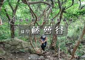 周末1日｜藤萝谷｜北方『热带雨林』冷水峪-河防口-九谷口 8公里经典穿越